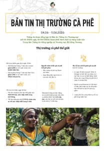 Bản tin thị trường cà phê (4-11/6/2026)