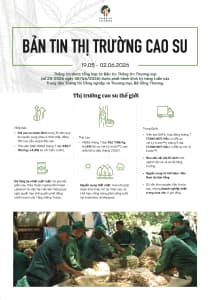 Bản tin thị trường cao su (19/5-2/6/2026)