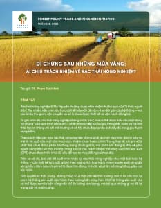 Di chứng sau những mùa vàng: Ai chịu trách nhiệm về rác thải nông nghiệp