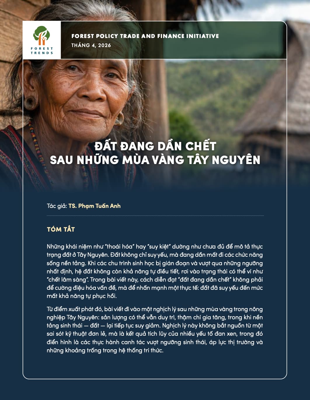 Đất đang dần chết sau những mùa vàng Tây Nguyên