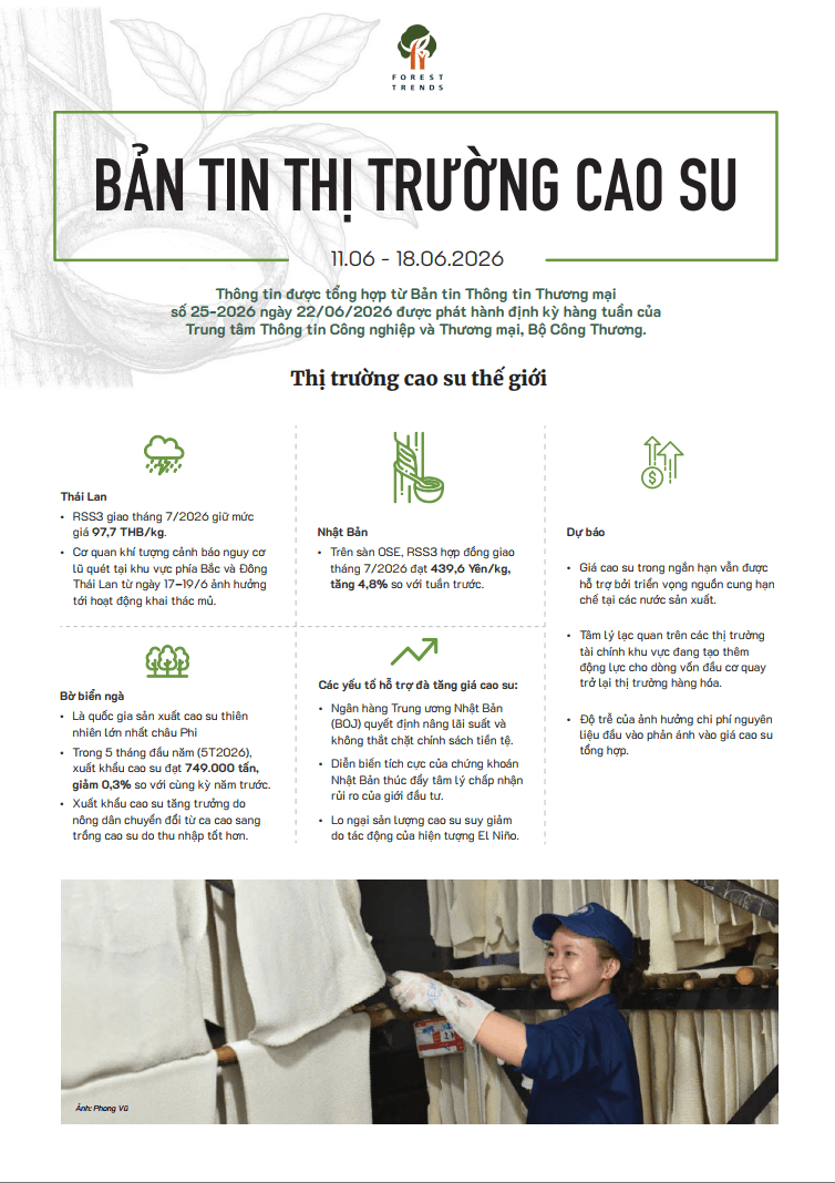 Bản tin thị trường cao su (11-18/06/2026)