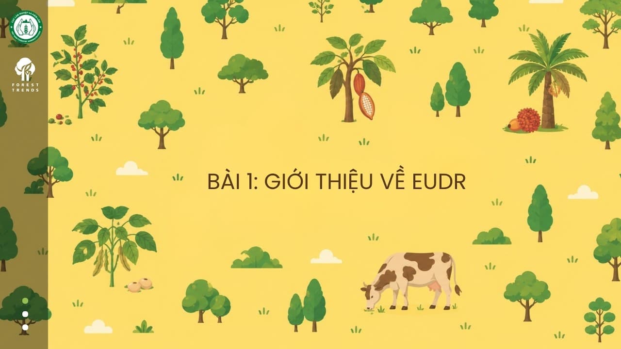 Hướng dẫn sử dụng công cụ thu thập dữ liệu vùng trồng Open Foris Ground - Bài 1: Giới thiệu về EUDR