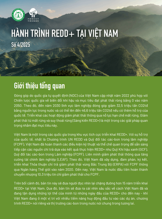 Hành trình REDD+ tại Việt Nam