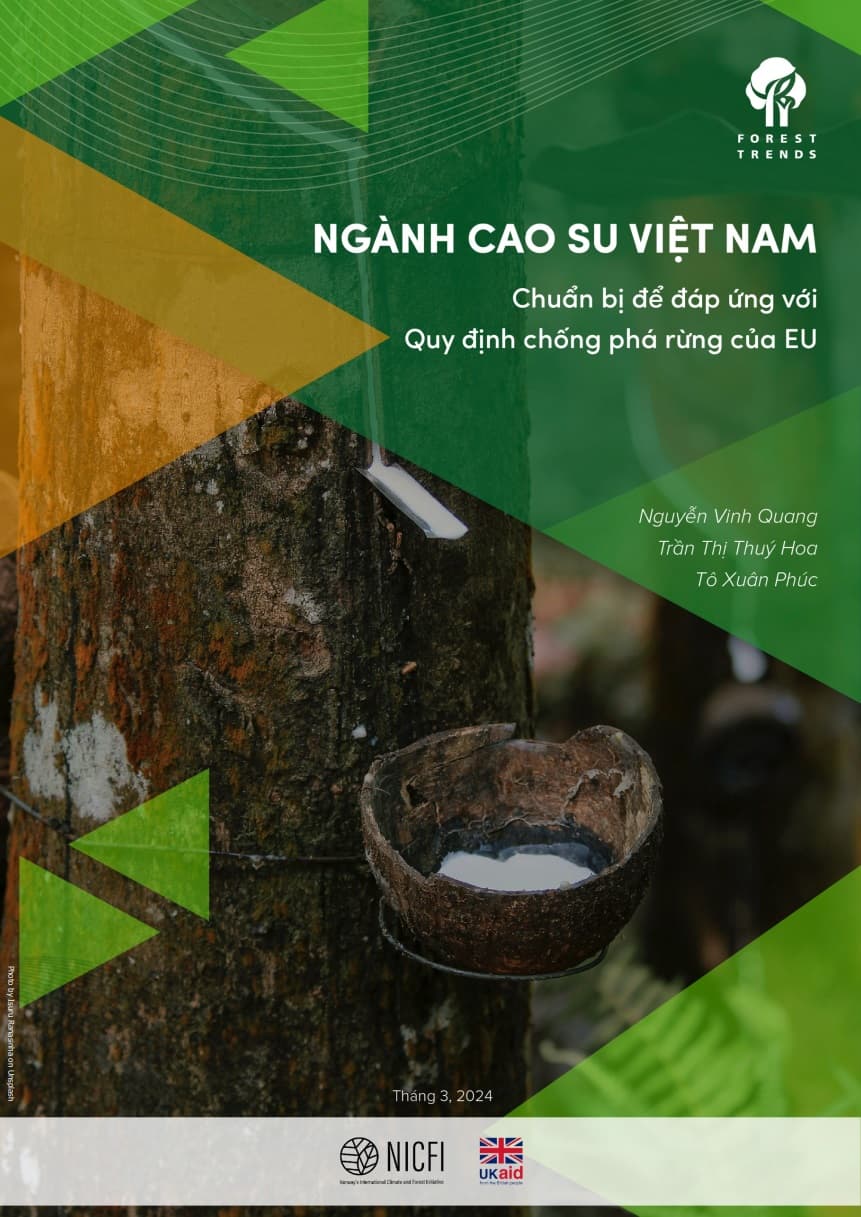 Ngành cao su Việt Nam: chuẩn bị để đáp ứng với Quy định chống phá rừng của EU