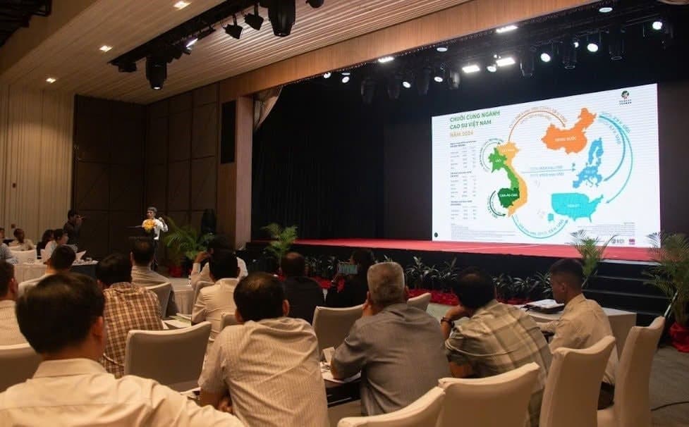 Làm sạch chuỗi cung ứng cao su thiên nhiên trước yêu cầu truy xuất nguồn gốc