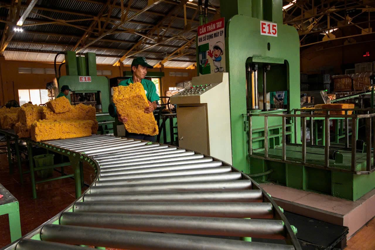 Ngành cao su tiểu vùng sông Mekong: Cơ hội và thách thức trong bối cảnh thực thi EUDR