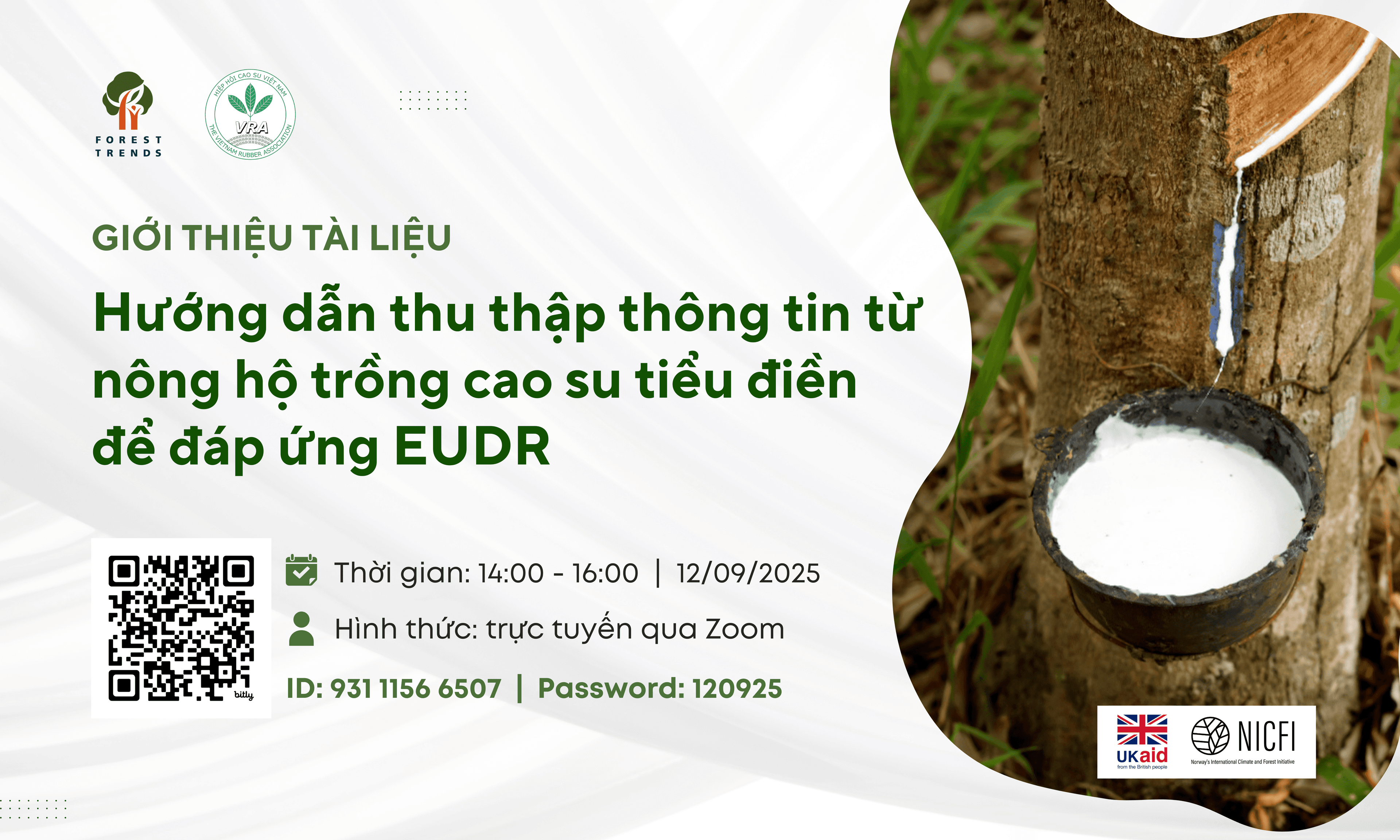 Giới thiệu tài liệu: Hướng dẫn thu thập thông tin từ nông hộ trồng cao su tiểu điền để đáp ứng EUDR