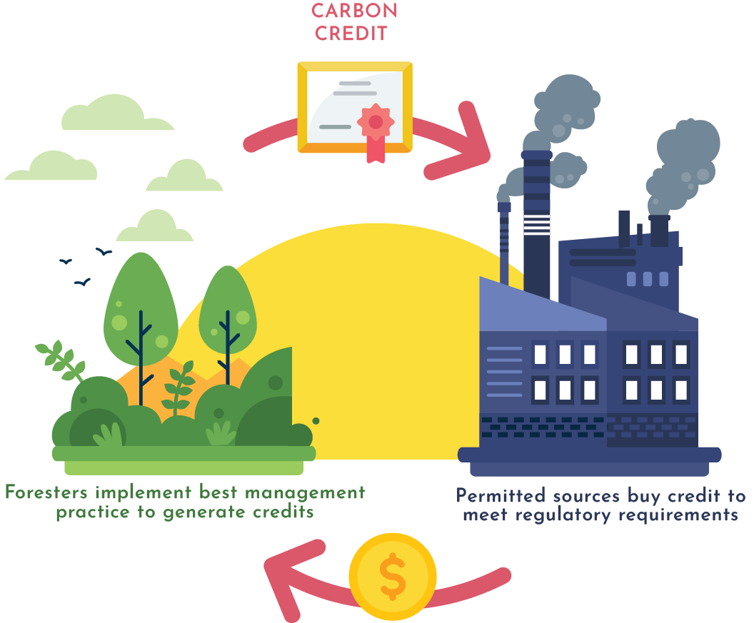Credit Diagram