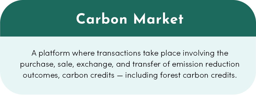 Carbon Market