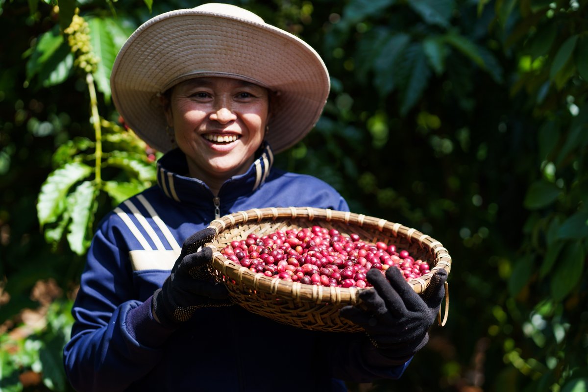 Mạng lưới