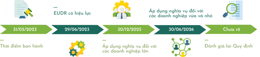Biểu đồ thời gian các mốc quan trọng liên quan đến EUDR