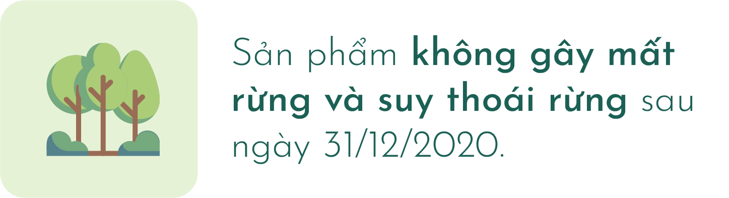 Sản phẩm không gây mất rừng và suy thoái rừng sau ngày 31/12/2020