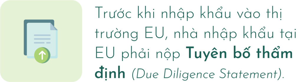 Yêu cầu nộp Tuyên bố thẩm định trước khi nhập khẩu vào thị trường EU