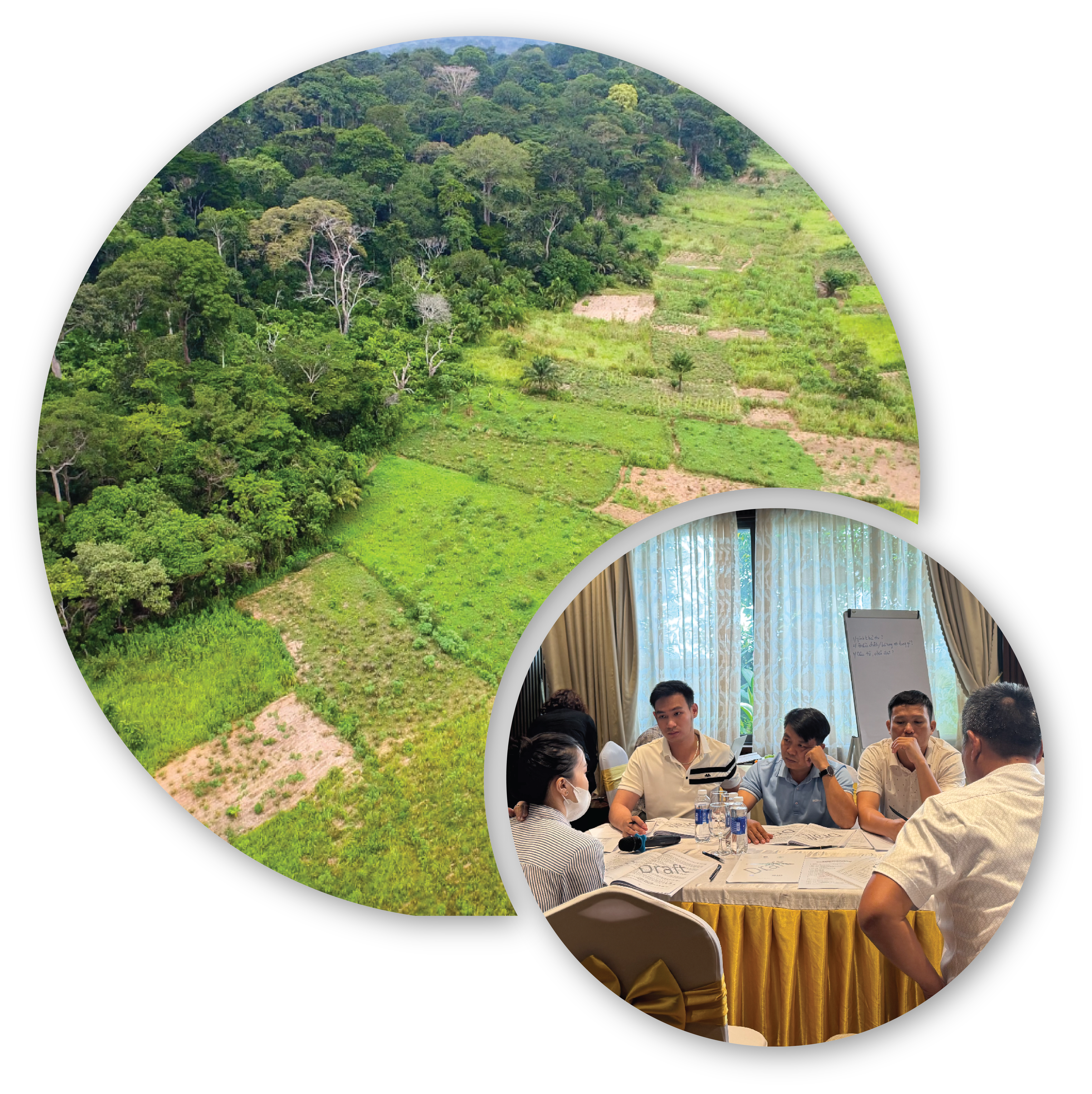 Aerial view of forest and meeting room