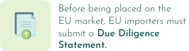 Yêu cầu nộp Tuyên bố thẩm định trước khi nhập khẩu vào thị trường EU